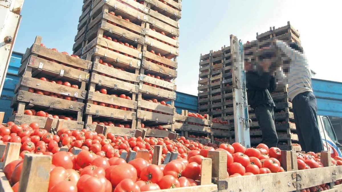 Gıda sektöründe dolandırıcılık operasyonu: Bozuk ürünler kullanıldı