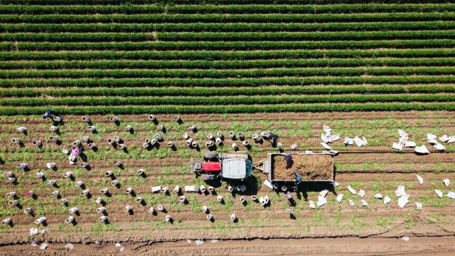 İbrahim Yumaklı, kırsal kalkınmaya 12,5 milyar lira hibe desteği verecek
