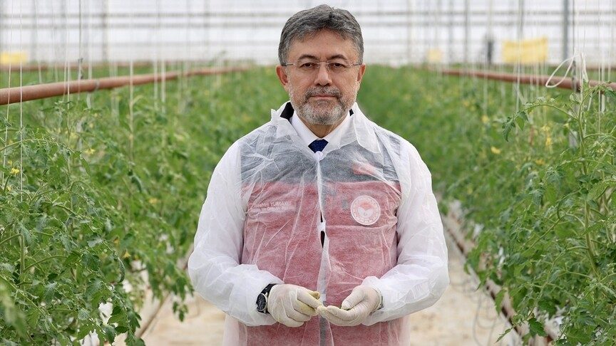 Tarım ve Orman Bakanı Yumaklı: Türkiye örtü altı üretimde ikinci sırada
