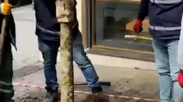 Fatih'te kesilen ağaç yerine manolya dikildi