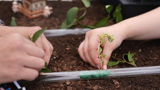 TÜME Vakfı, tarım ve hayvancılığı teknolojiyle buluşturdu