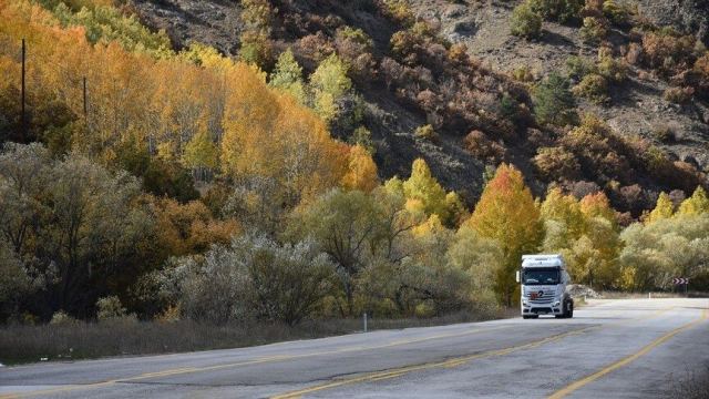 Sarıyer'deki Vauk Dağı Geçidi sonbahar renklerine büründü