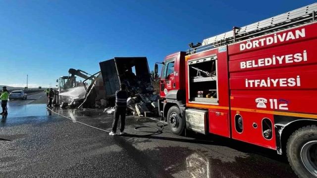 Bolu Dörtdivan'da kargo yüklü tırda yangın çıktı