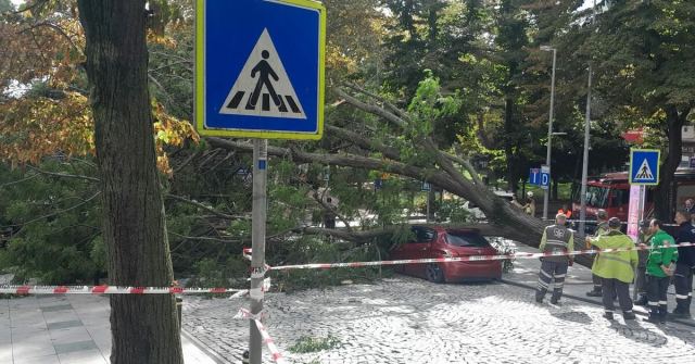Şişli'de Ağaç Devrildi, Trafik Kapandı