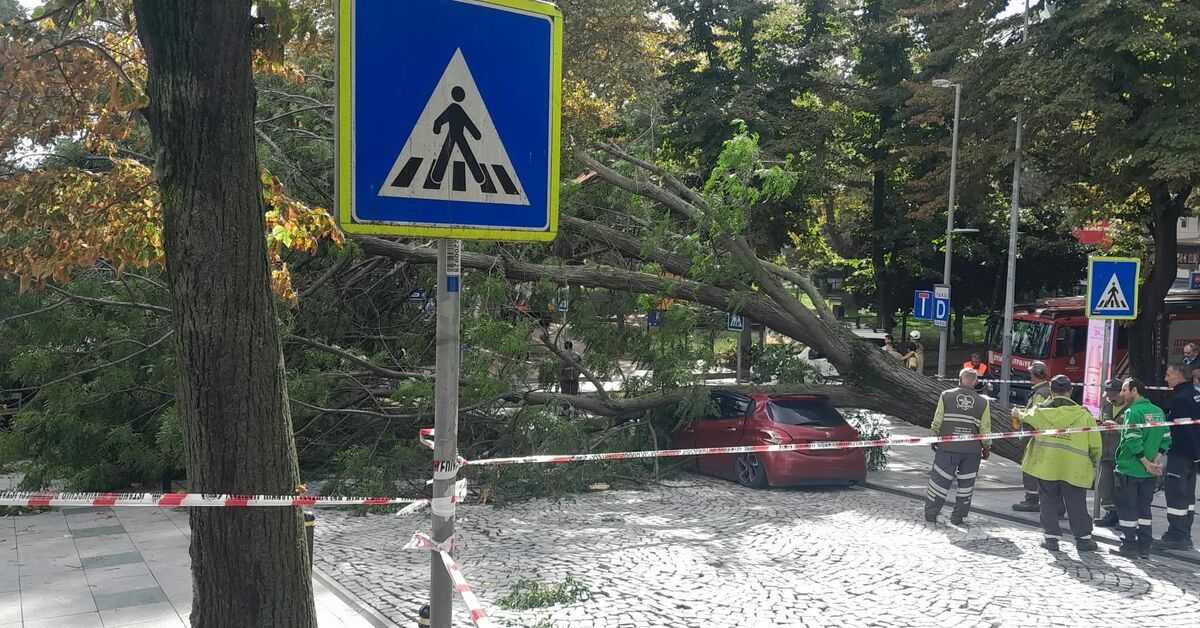 Şişli'de Ağaç Devrildi, Trafik Kapandı
