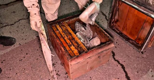 Yüksekova'da Petekler Arasında 91,1 Kilogram Uyuşturucu Ele Geçirildi