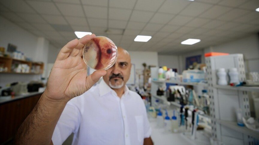 Prof. Dr. Selçuk Hazır, böcek kovucudan 100 kat etkili molekül buldu