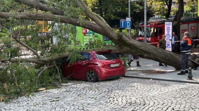 Şişli'de Ağaç Park Halindeki Otomobilin Üzerine Devrildi