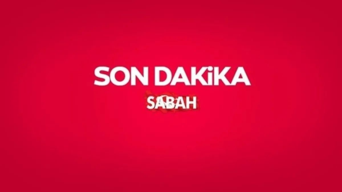 İstanbul Merkezli Vize Şirketlerine Operasyon: 60 Gözaltı Kararı