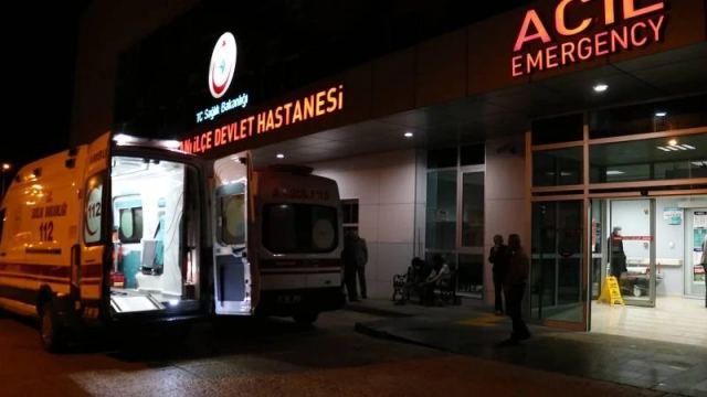 Cide'de Mantar Zehirlenmesi Şüphesi: Üç Çocuk Ankara'ya Sevk Edildi