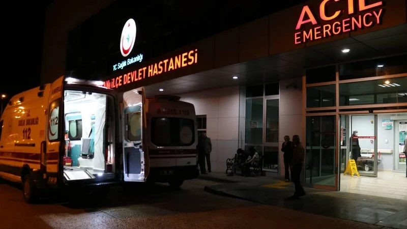 Cide'de Mantar Zehirlenmesi Şüphesi: Üç Çocuk Ankara'ya Sevk Edildi