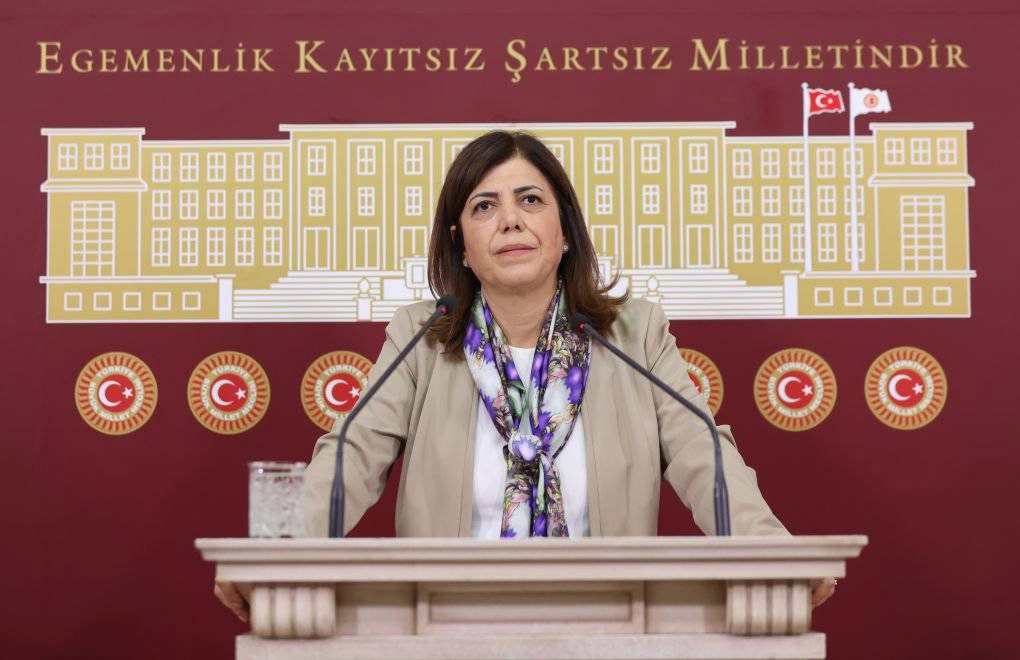 Meral Danış-Beştaş: 6-7 Eylül önergesi yaralayıcı bulundu