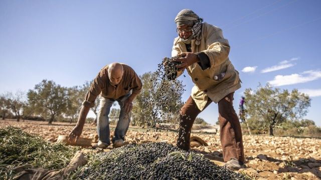 Afrika'da İklim Değişikliği Tarım Yöntemlerini Dönüştürüyor