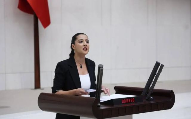 Karaca, Ailem Güvende Operasyonlarındaki Hak İhlallerini Meclis'e Taşıdı