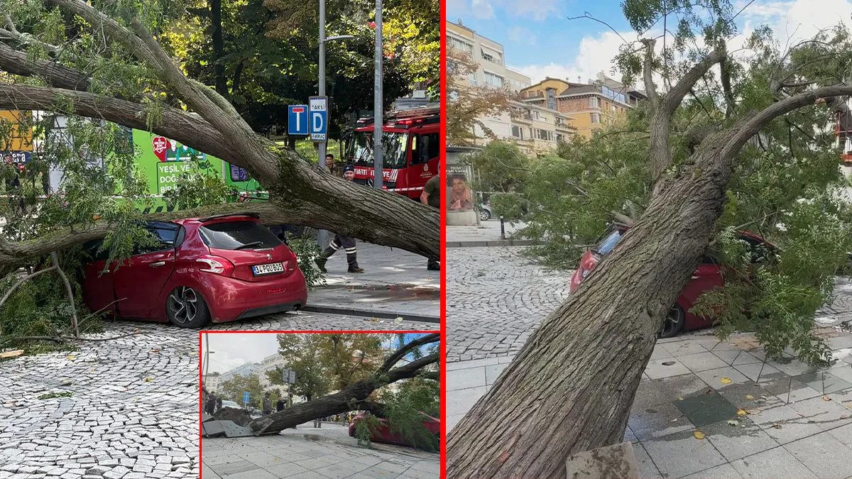 Şişli'de Ağaç Otomobilin Üzerine Devrildi, Trafik Kilitlendi