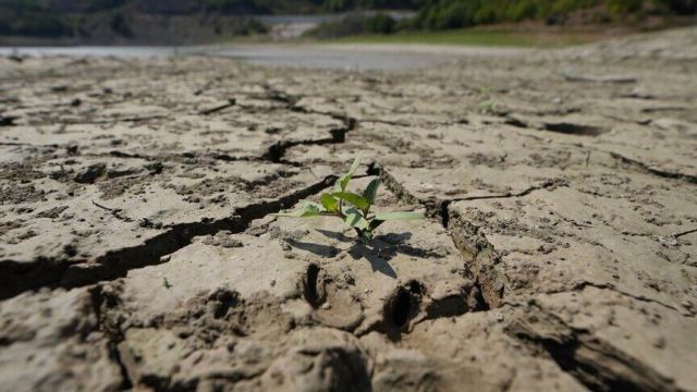 BM, El Nino'ya karşı erken harekete geçilmesi çağrısı yaptı