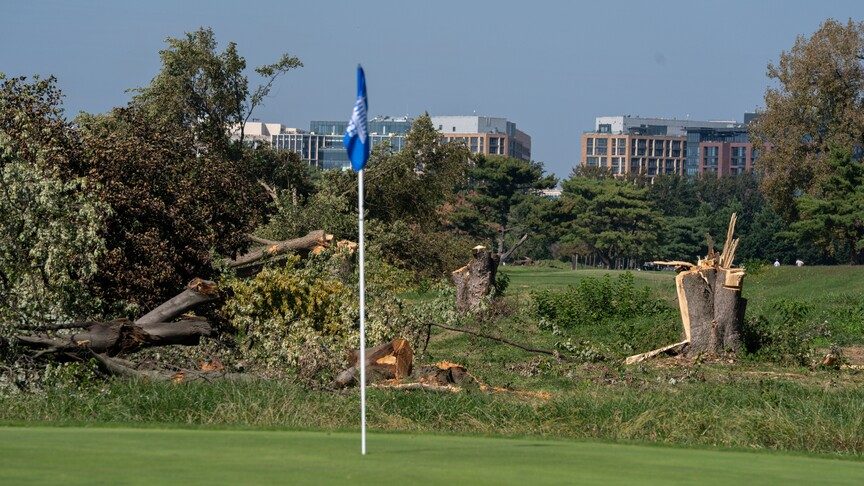 Washington'daki Golf Sahasında Ağaç Kesimi Durduruldu