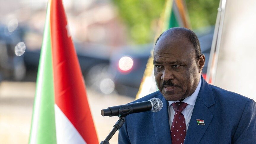 Sudan Dışişleri Bakanı Salim, Türkiye'nin Desteğini Takdir Etti