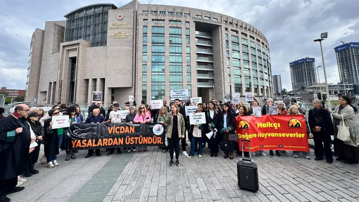 Hayvan Hakları Savunucuları İstanbul'da Adalet Çağrısı Yaptı