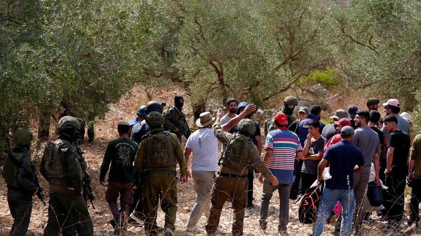 İsrailli Haham, Filistinlilerin Zeytinlerini Çalmaya Fetva Verdi