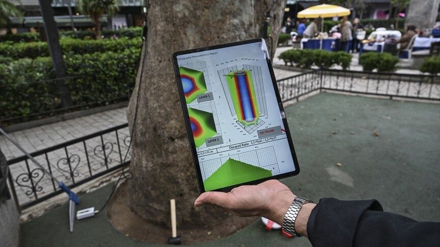 Şişli'deki Ağaçların Sağlığı Tomografi ile İncelenecek