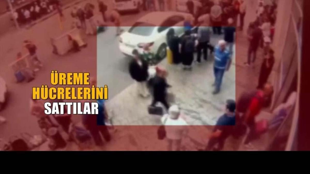 Üreme Hücresi Çetesi Kadıköy'de Çökertildi