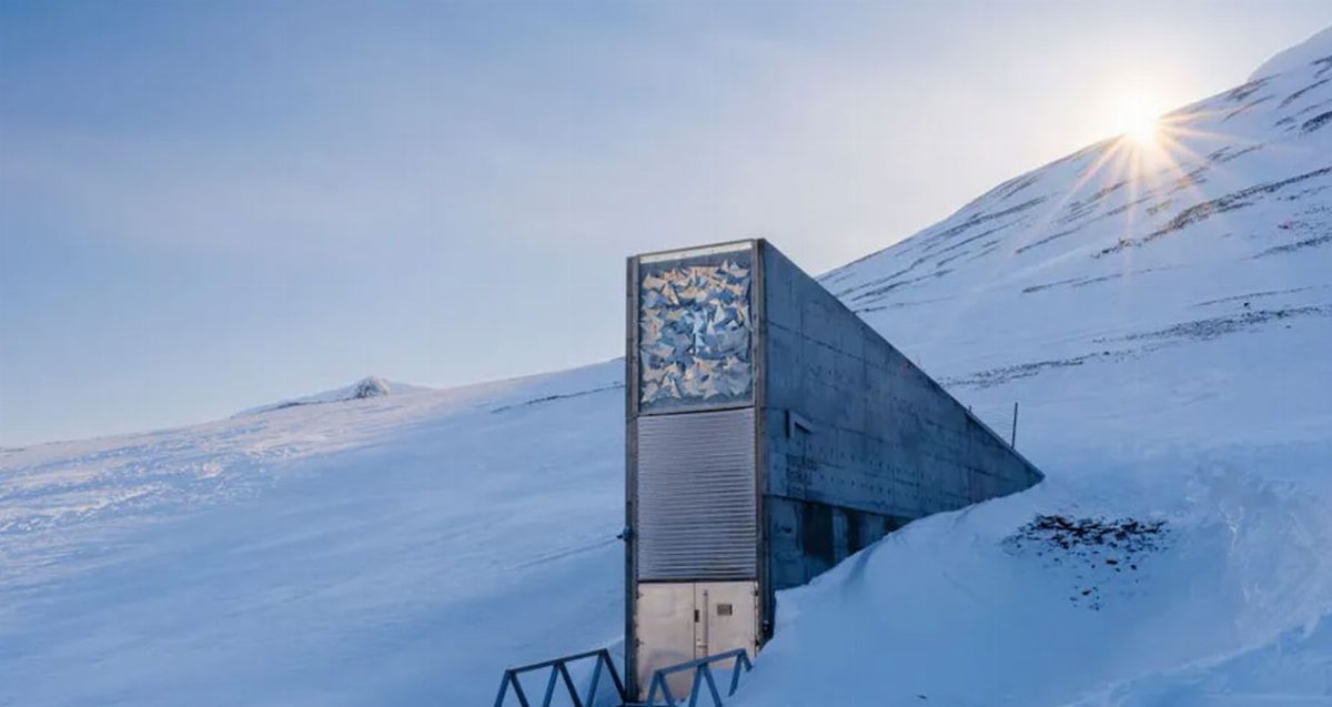 Svalbard Küresel Tohum Deposu kapılarını yeniden açtı