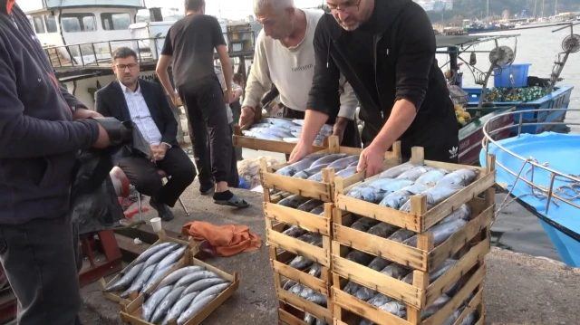 Şile'de Palamut Avı Başladı, Kasa Fiyatları 600 TL'ye Yükseldi
