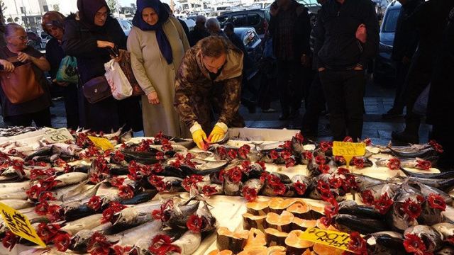 Karadeniz'de Palamut Bolluğu: Tanesi 125 Liradan Satılıyor
