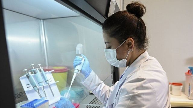 Göçmen Kuşlardan Alınan Keneler Üzerine Bilimsel Araştırma Başlatıldı