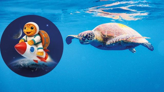 IAC 2026'nın Maskotu Caretta Caretta Belirlendi