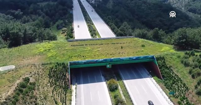 Ekolojik köprü sayısı 21'e ulaştı