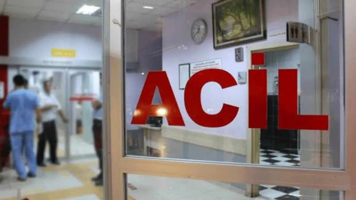 TEM Otoyolu'nda kaza: 2 kişi yaralandı