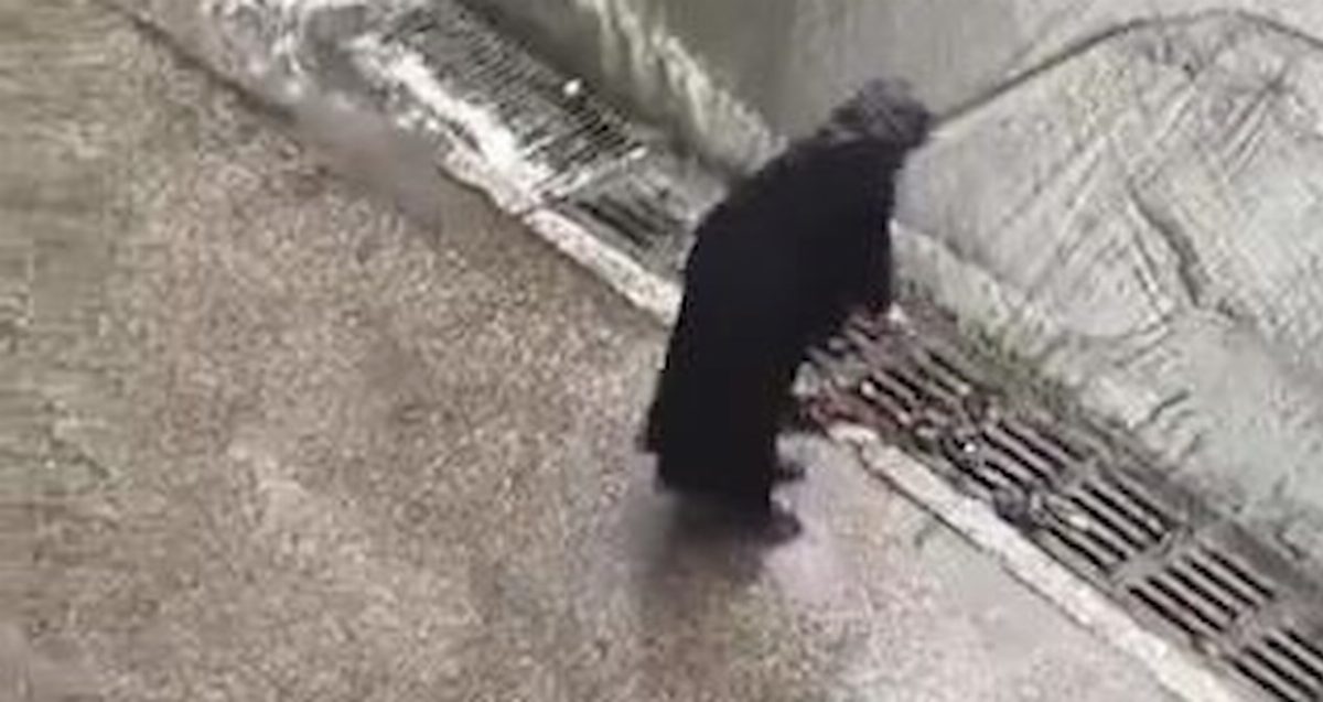 İstanbul'da Kadın, Yağmur Sonrası Mazgalları Temizliyor
