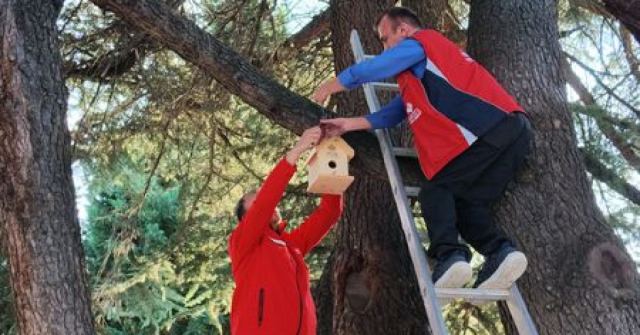 Kastamonu'da Kuşlar İçin Yuvalar Hazırlandı