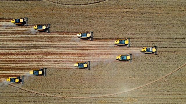 Hazine Arazileri İstanbul'da Yatırım ve Tarımsal Üretime Destek Verecek