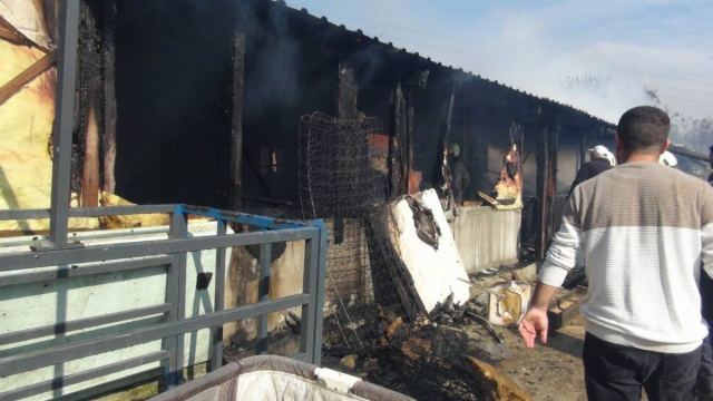 Silivri'de ahırda çıkan yangında hayvanlar telef oldu
