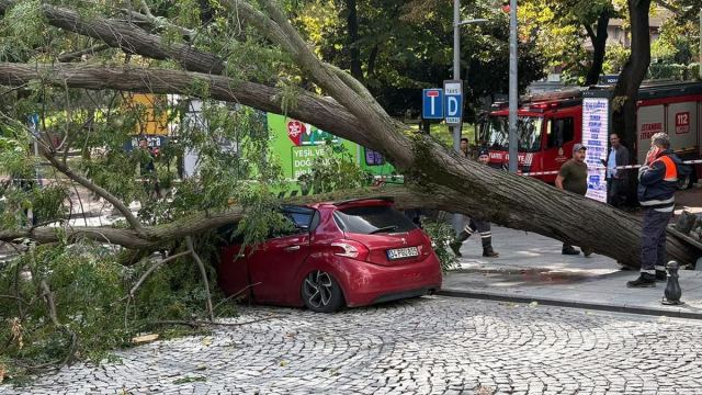 Şişli'de Ağaç Devrildi, Öğrenciler Mahsur Kaldı