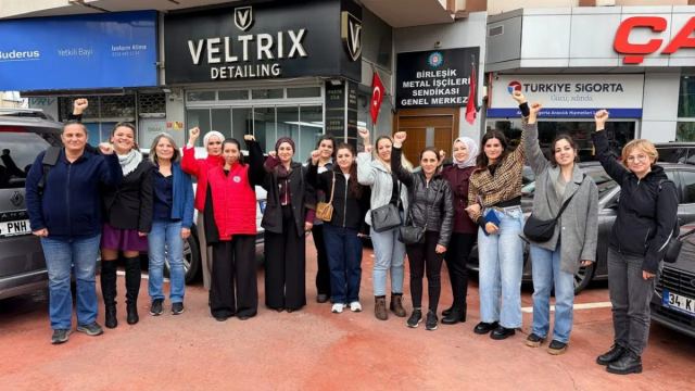 Birleşik Metal-İş Kadın Komisyonu OVP'yi Eleştirdi