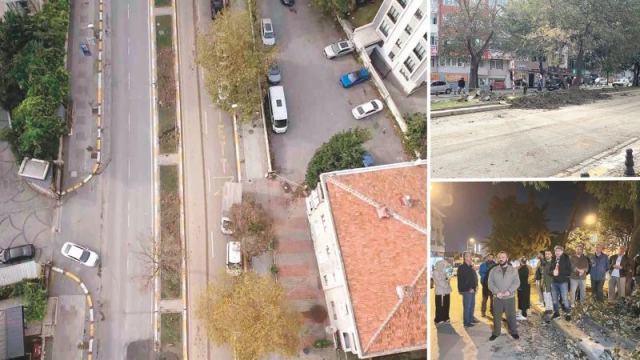 Eyüpsultan'da Tarihi Çınar Ağaçları Kesilmeye Başlandı