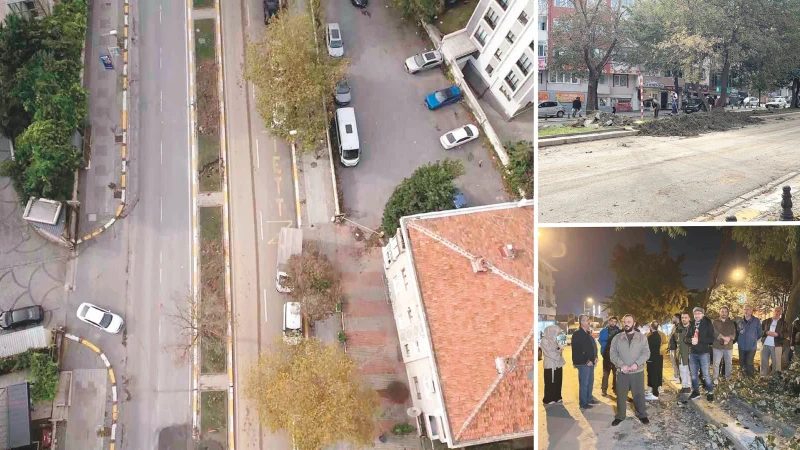 Eyüpsultan'da Tarihi Çınar Ağaçları Kesilmeye Başlandı