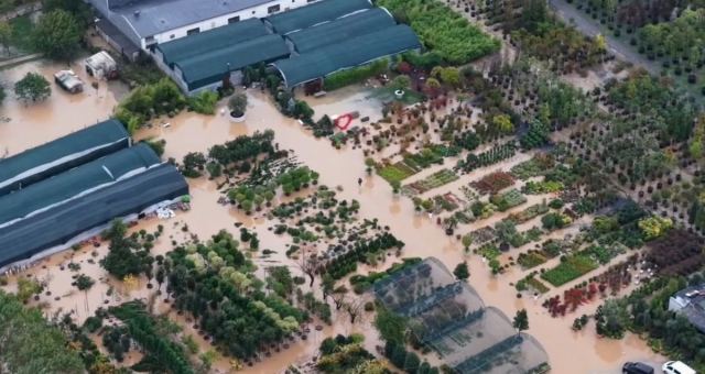 Beykoz'da Riva Deresi Taştı, İlçe Sular Altında Kaldı