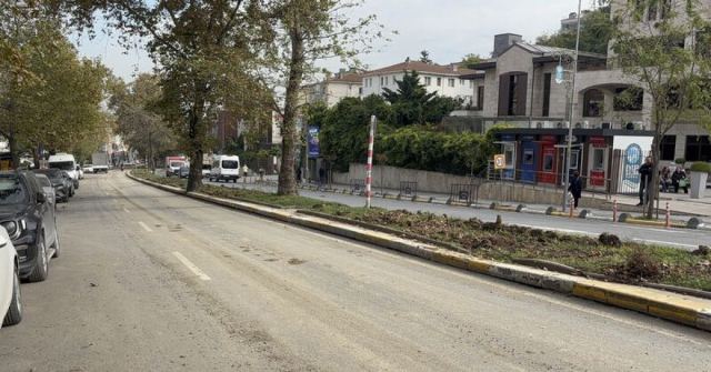 Eyüpsultan'da Ağaç Kesimi İddiası Tepki Çekti