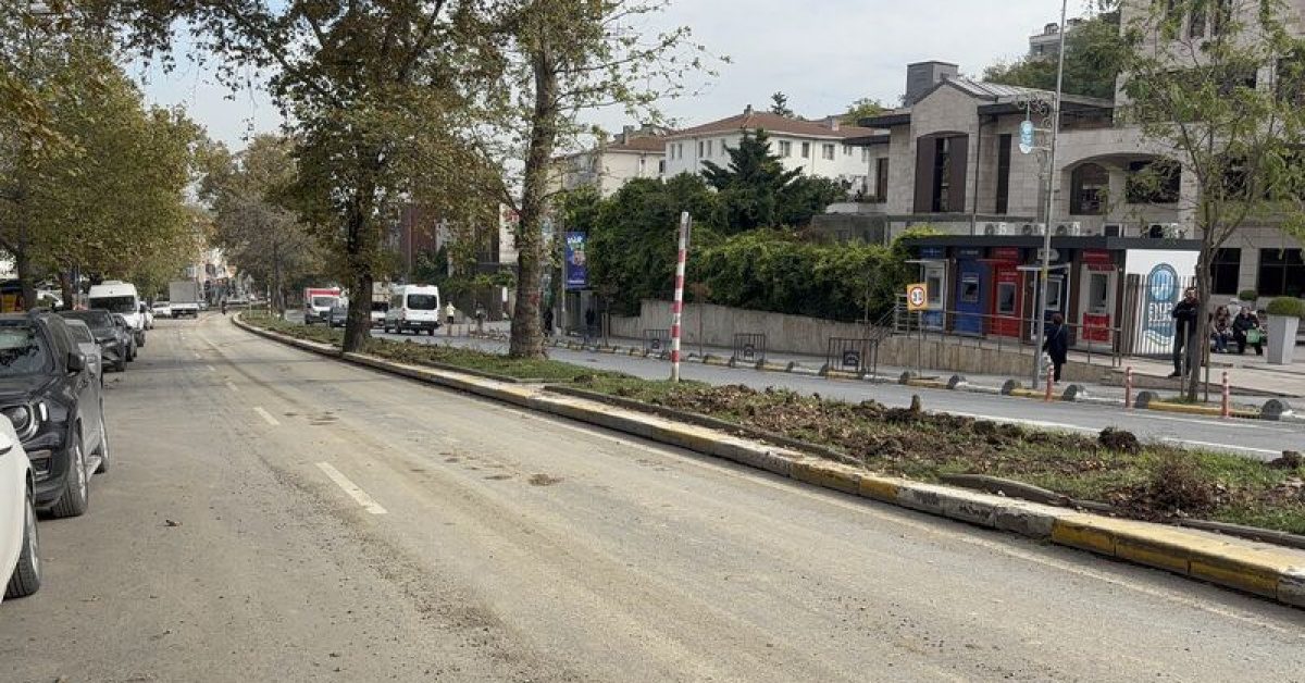 Eyüpsultan'da Ağaç Kesimi İddiası Tepki Çekti