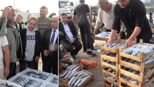 Şile'de Palamut Bolluğu: Kasa Fiyatları 600 Lira Oldu