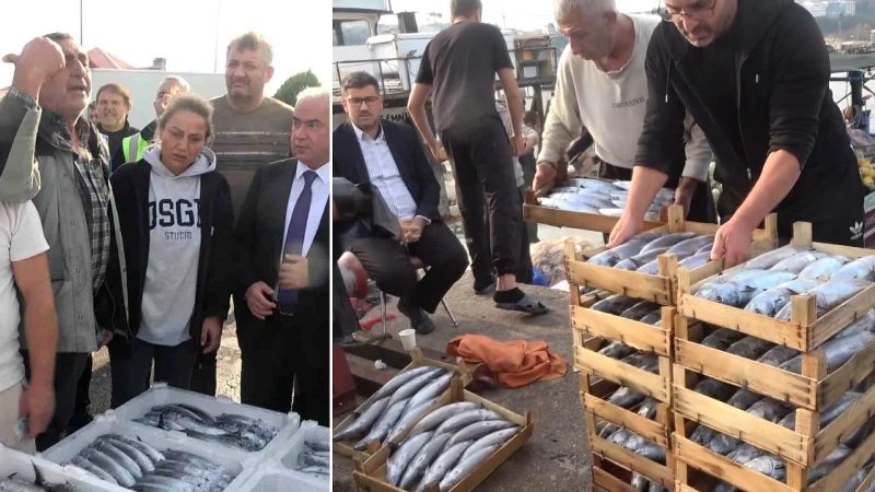 Şile'de Palamut Bolluğu: Kasa Fiyatları 600 Lira Oldu