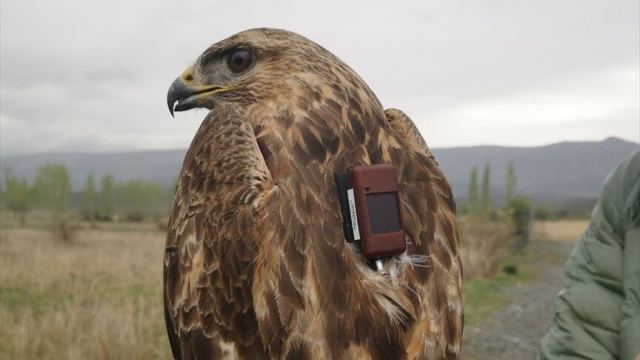 Şahin Ender, 5 Ayda 14 Ülke Geçerek 6 Bin Kilometre Uçtu