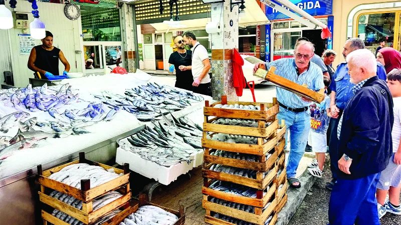 İstanbul DEMBİR'den Balık Avına Ara Verme Çağrısı