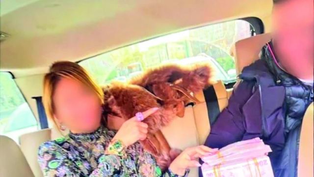 Bakırköy'de Yargıda Rüşvet Soruşturması Derinleşiyor