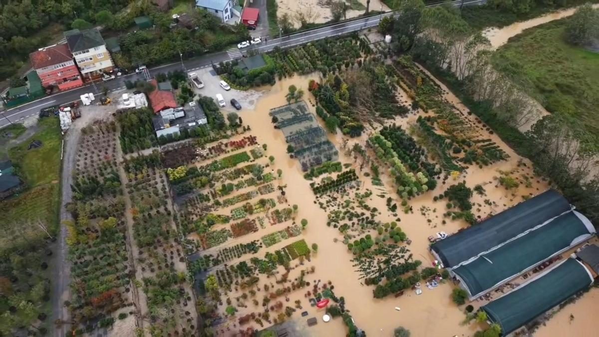 Beykoz'da Riva Deresi taştı, seralar su altında kaldı